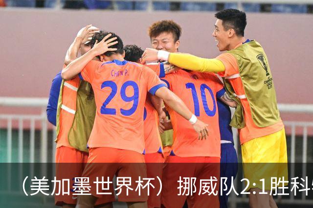 （美加墨世界杯）挪威队2:1胜科特迪瓦队 时隔28年重返16强